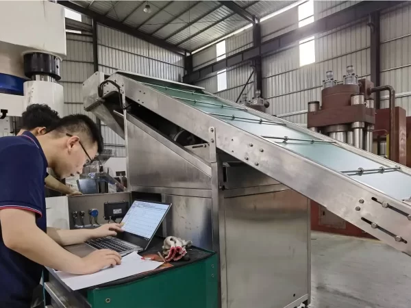 puzzle bagging machine programming